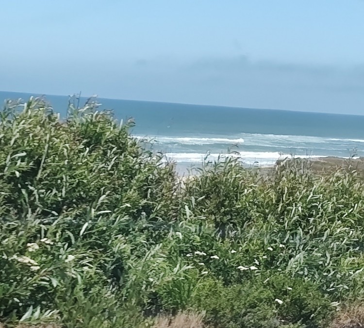 San Mateo Coast State Beaches (San&nbspGregorio,&nbspCA)